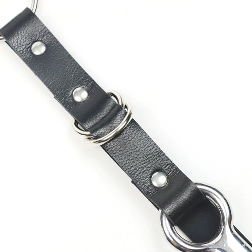 Leash and Kinky EverydayUse Collar Anal with Hook 5853 0112